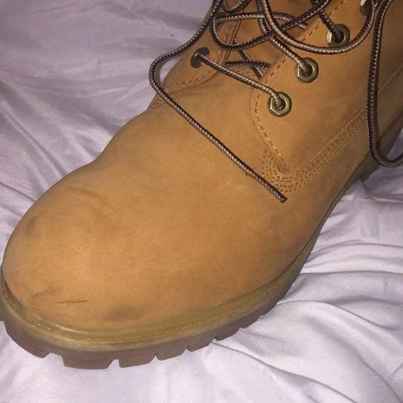 6” Wheat Timberlands - Picture 4 of 6